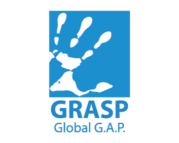 GRASP